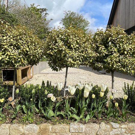 Cedar House Guest House Ilsington Exterior foto